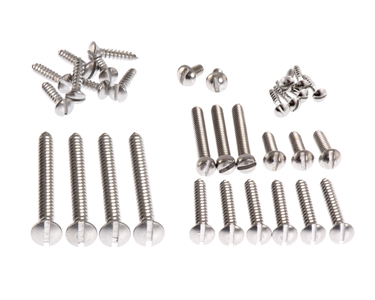 Screw Set Slotted for Tele in Stainless Steel