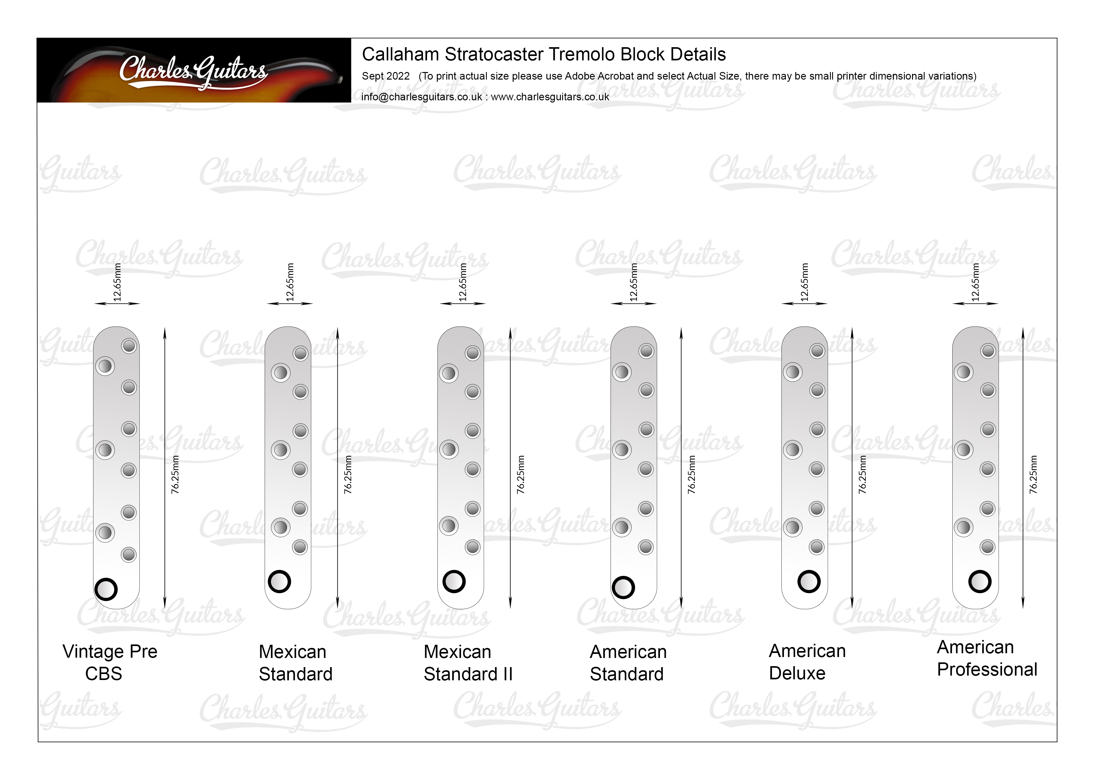  Callaham Stratocaster Tremolo Block Details BIG.jpg